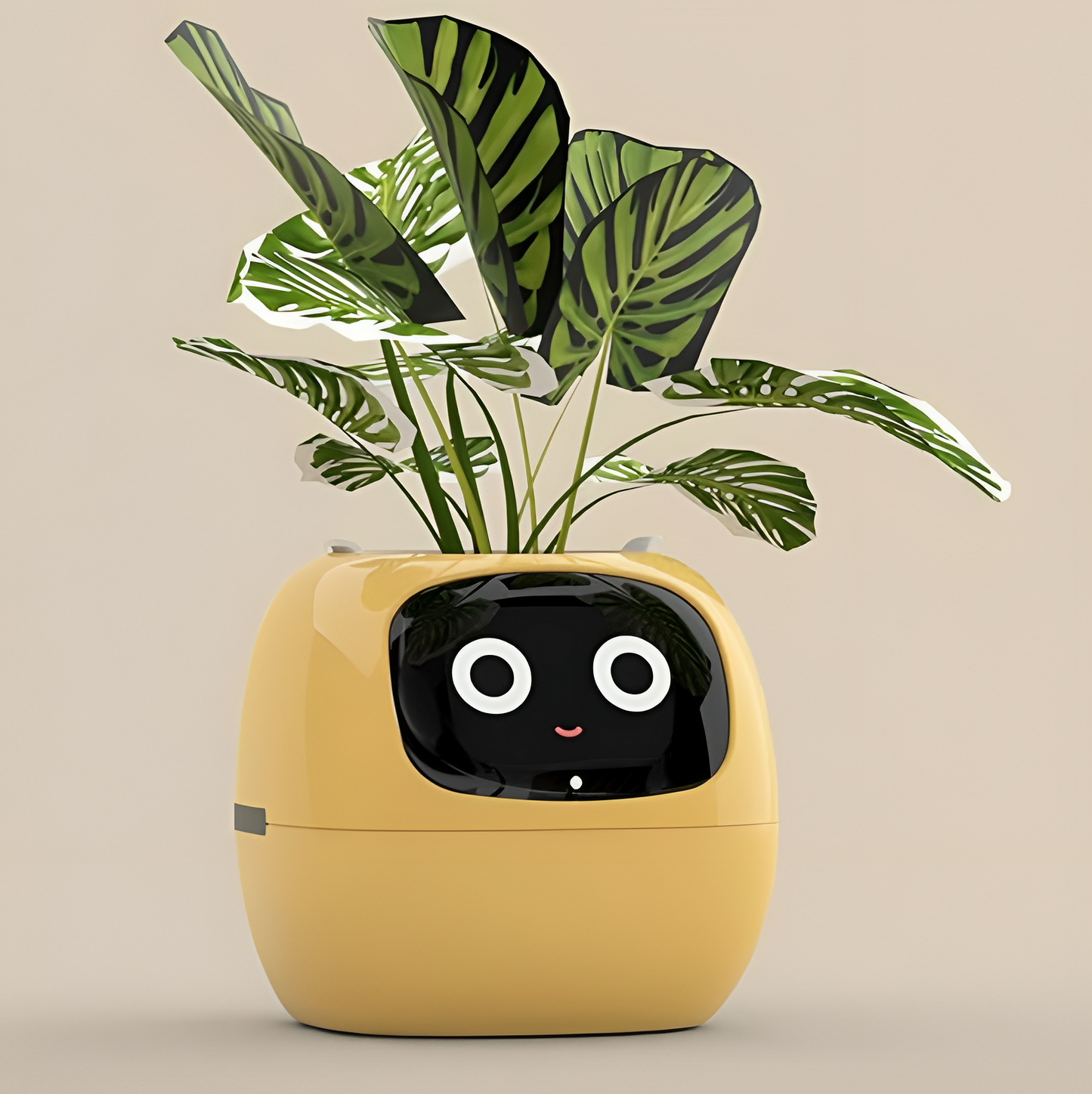 The Magic Plant™ - Living Plant Friend
